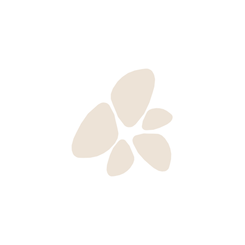 Foeloer